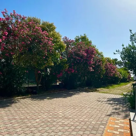 Kune,shengjin Apartment *