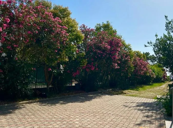 Kune,shengjin Apartmán *